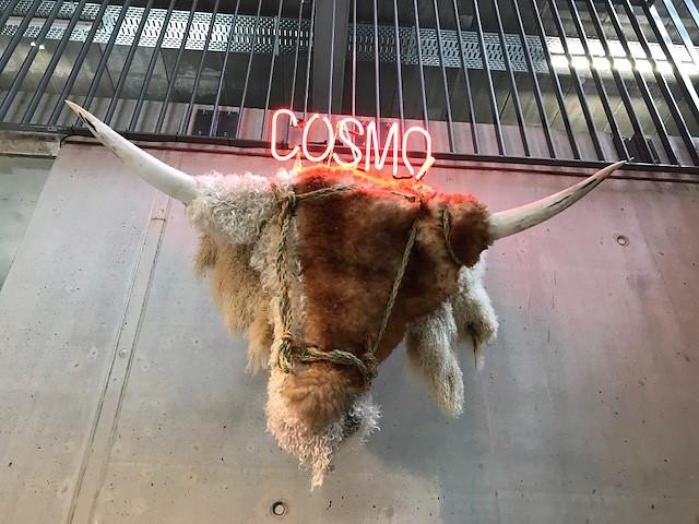 cosmo