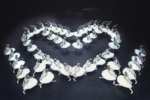 Podia Zwanenmeer Fotostardust6