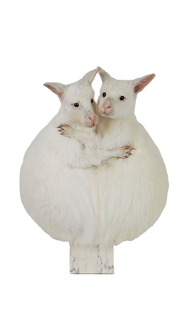 Les Deux Garçons: Les Icônes Immortelles