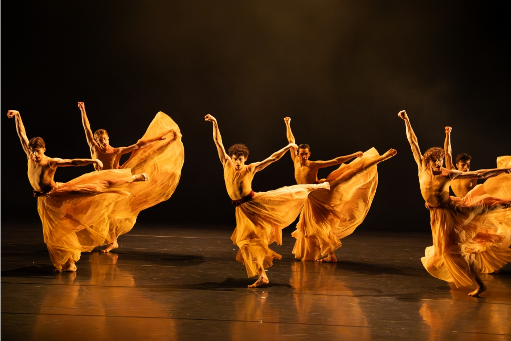 Junior Company Het Nationale Ballet
